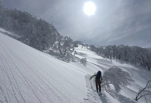 テレマーク×バックカントリースキー×雪中キャンプ｜登山レポート