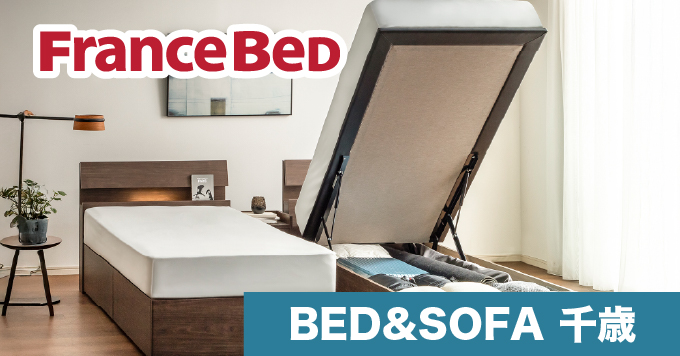 フランスベッド｜LT-5500 PW MON ハード ダブル