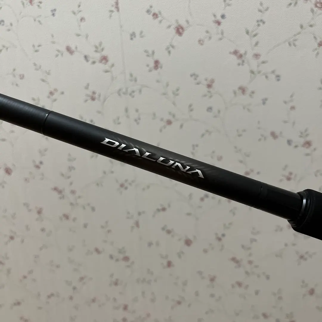 2026年最新】シマノ ディアルーナ s106mの人気アイテム - メルカリ