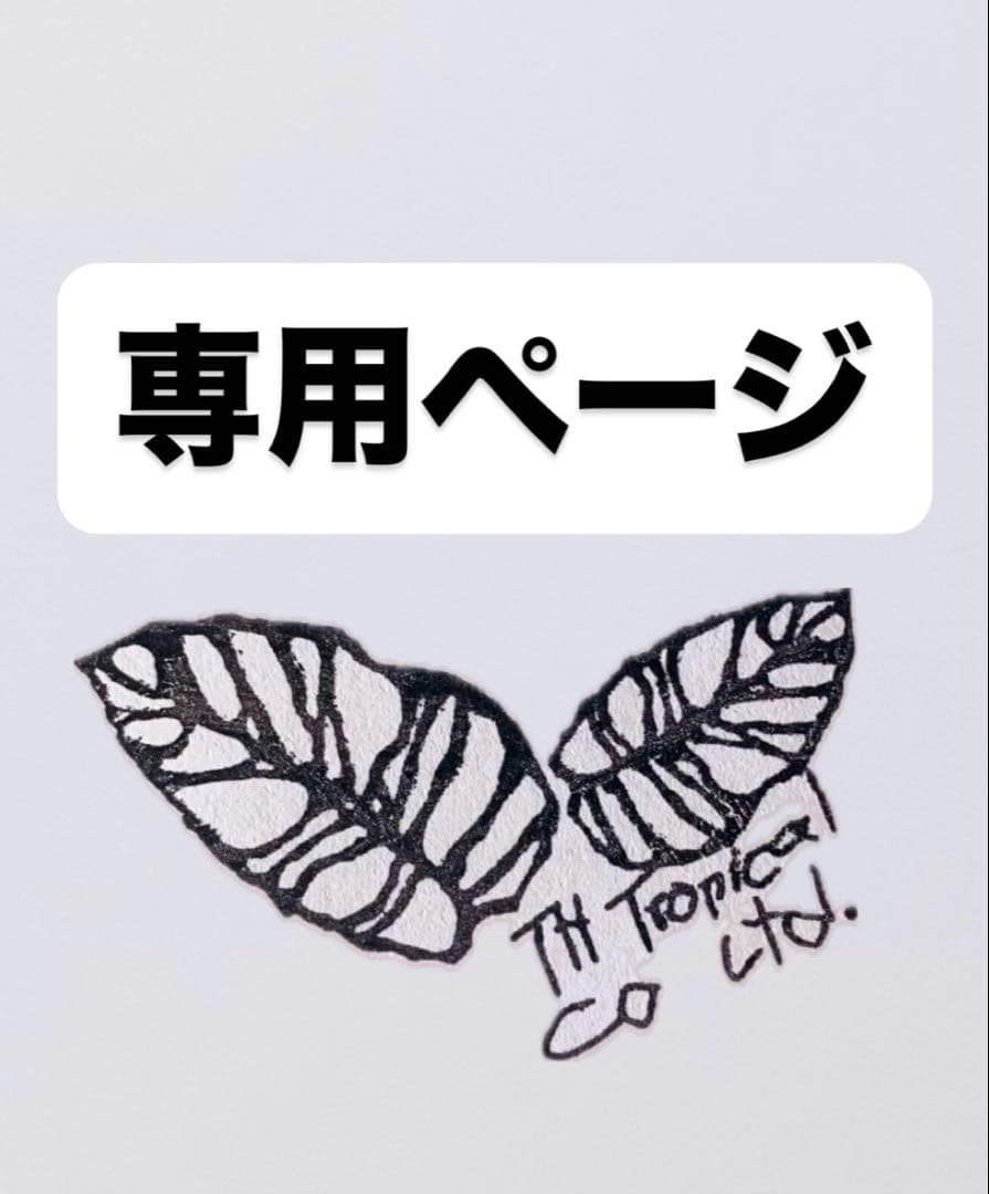 トシ　light lime ヤマト運輸 コキ107-1843・UV51A-38000番台 新塗装・ヤマト運輸コンテナが入線しま